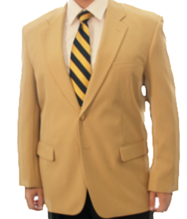 Men's Classic Camel Blazer